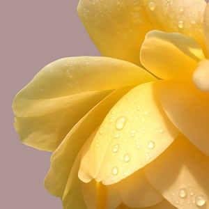 Gavrielle Goes Full Circle with Nostalgic Instrumental “Melody’s Adderall”